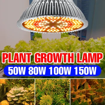 Led Лампа За Отглеждане на LED Фитолампа Семена на Растения E27 Пълен Набор от Лампара Гидропонный Лампа За Отглеждане на Растения Палатка 50 W 80 w 100 W 150 W Лампа